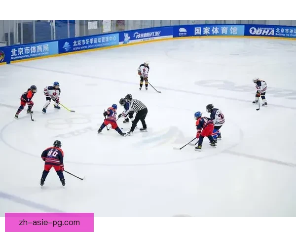 冰球大奖赛：激情角逐、热血对决