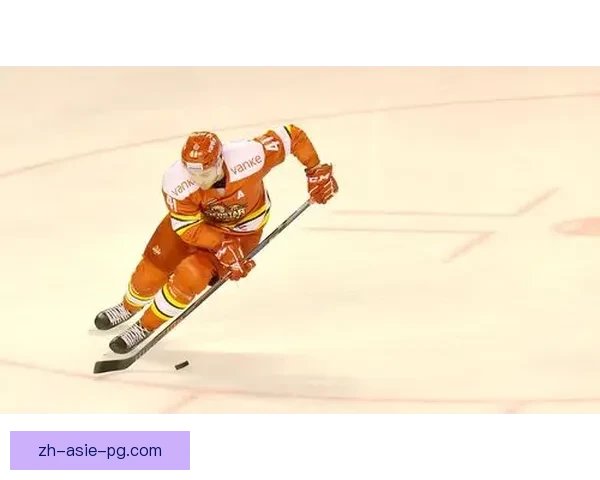 冰球风云:百年传奇纪实 冰球风云:百年传奇纪实