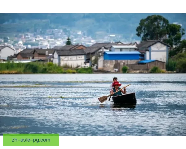 划船直播：探索水面风光