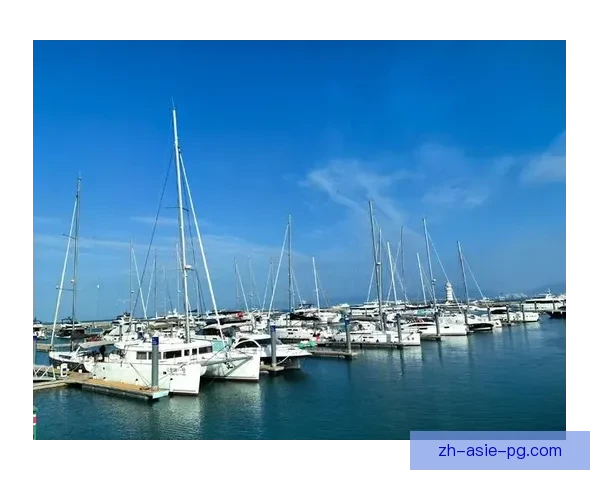 帆船冠军:征服浩瀚海洋,闪耀风帆之上 帆船冠军:征服浩瀚海洋,闪耀风帆之上