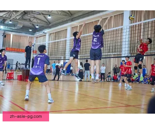 排球公开赛：激情角逐，精彩绽放